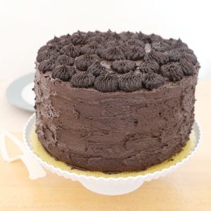 Whole moist chocolate cake on cake stand.