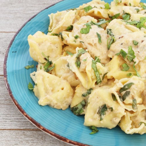 Cheese Tortellini with Basil Cream Sauce is Today's Delight
