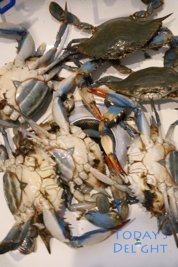 Seven blue crabs in the sink to be cleaned.