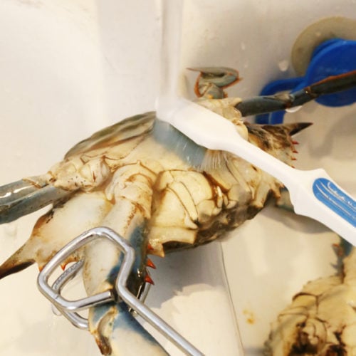 how to clean blue crab is Today's Delight topic
