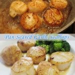 Pan-Seared Garlic Scallops is Today's Delight