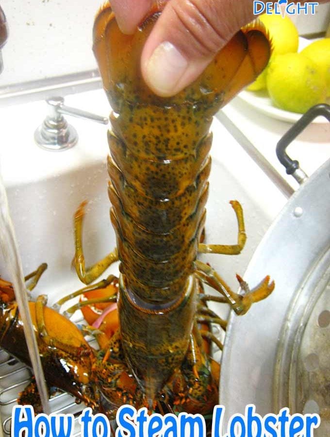 Lobster washed in running hot water.