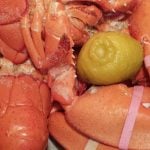 How to Steam Lobster is Today's Delight.